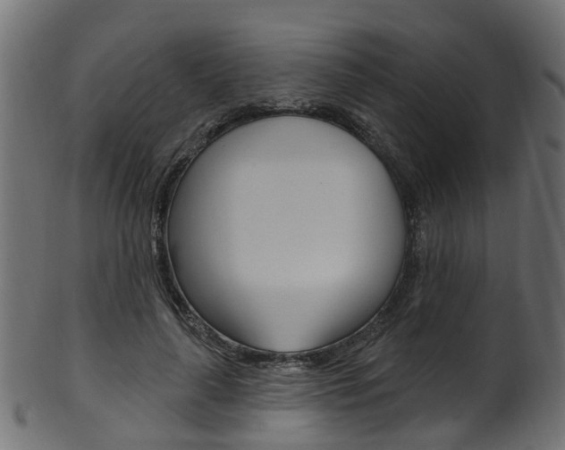 X0000102040643200807181030