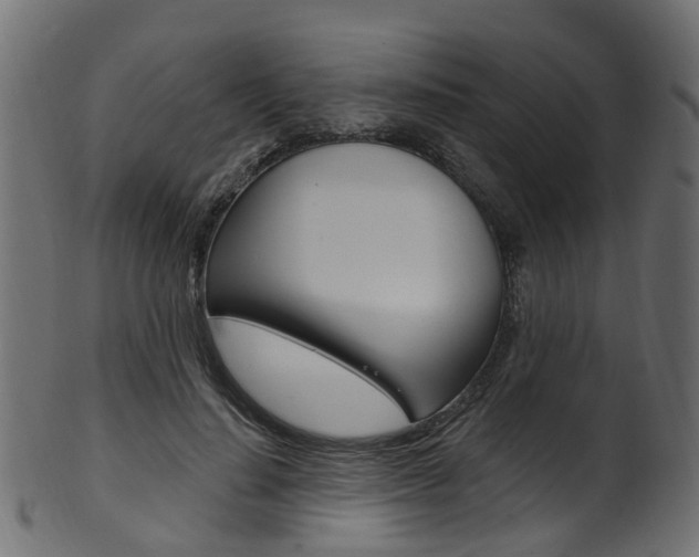X0000102040644200807181030