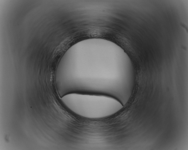 X0000102040645200807181031