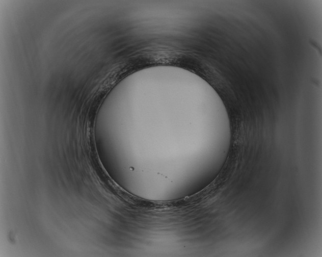 X0000102040646200807181031