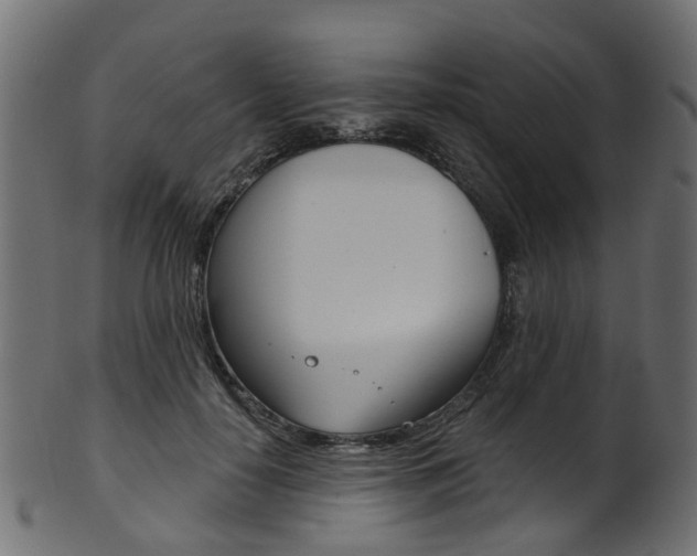 X0000102040650200807181031