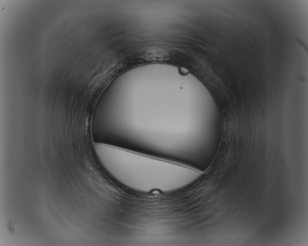 X0000102040652200807181031