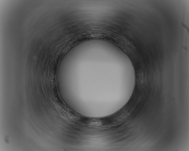 X0000102040653200807181031