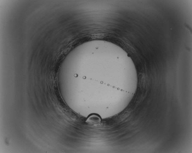 X0000102040655200807181031