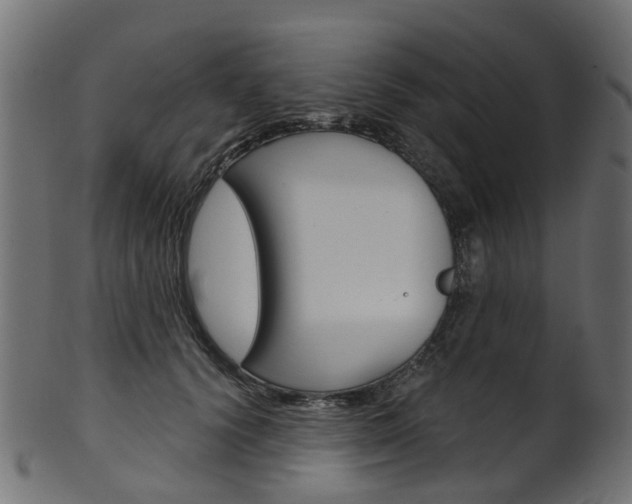 X0000102040656200807181031