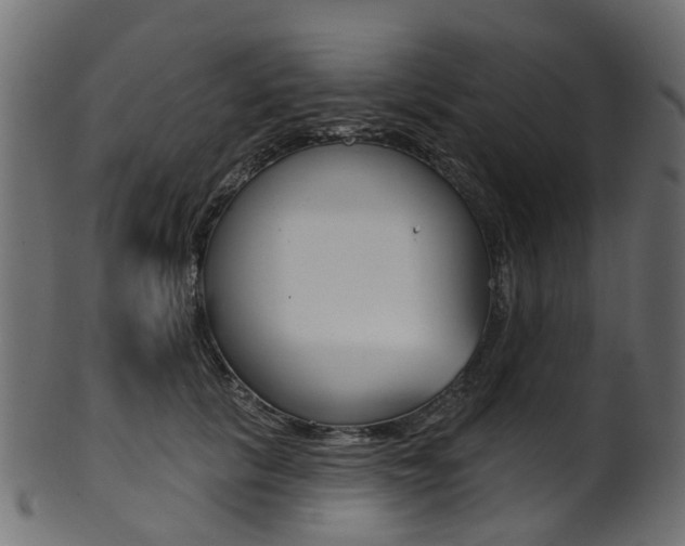 X0000102040657200807181031
