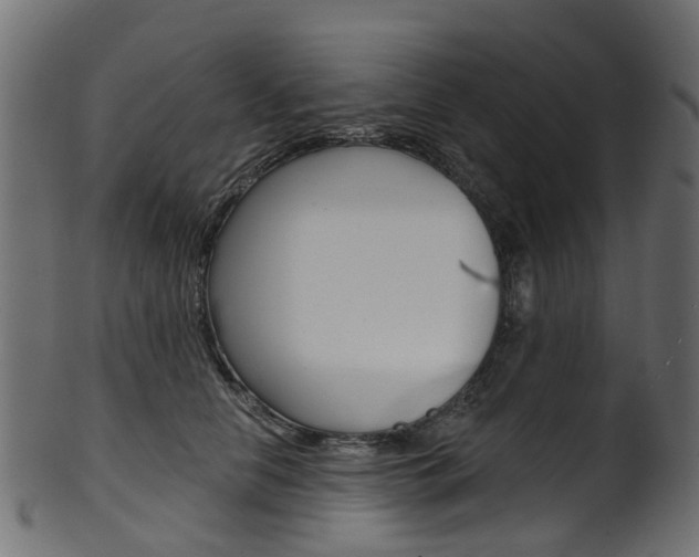 X0000102040658200807181031