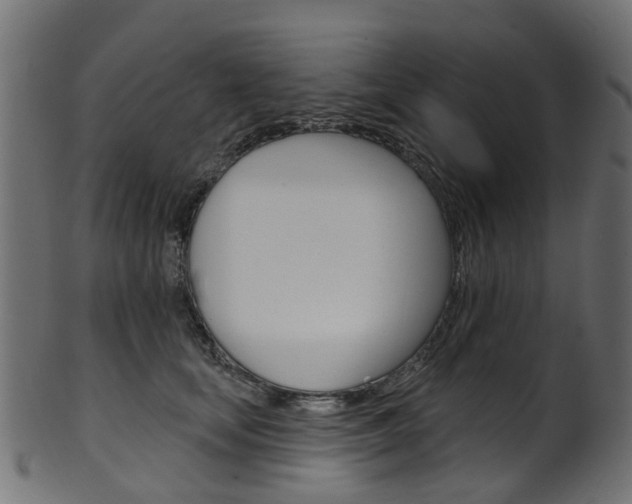 X0000102040659200807181031