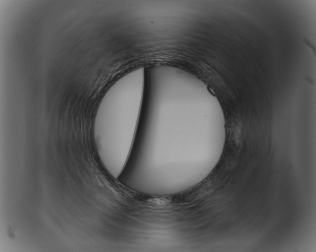X0000102040660200807181031
