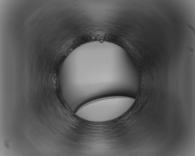 X0000102040661200807181031
