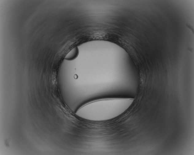 X0000102040665200807181031