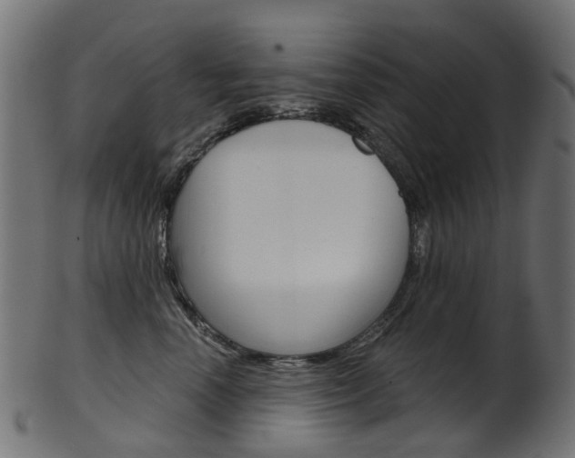 X0000102040666200807181031