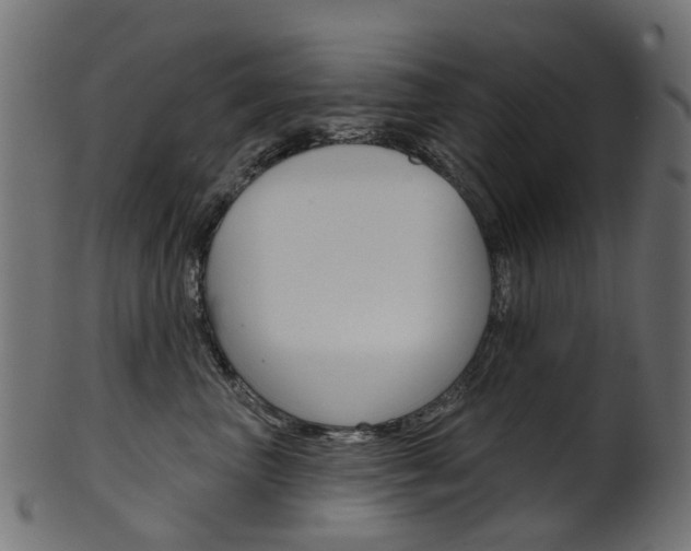 X0000102040667200807181031
