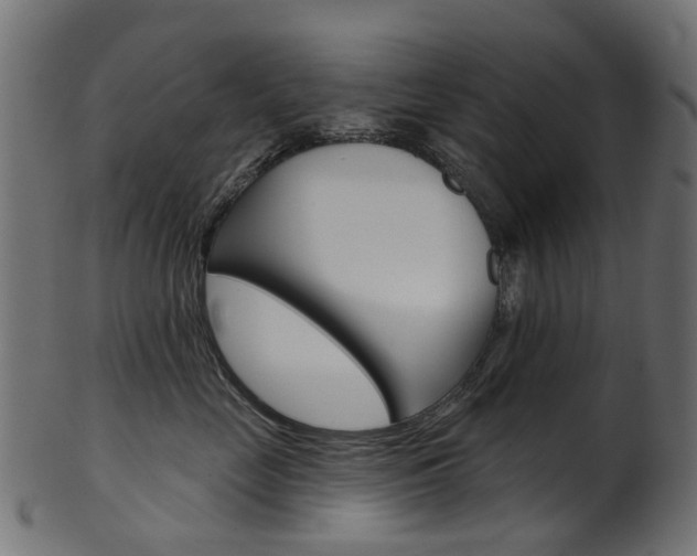 X0000102040669200807181031