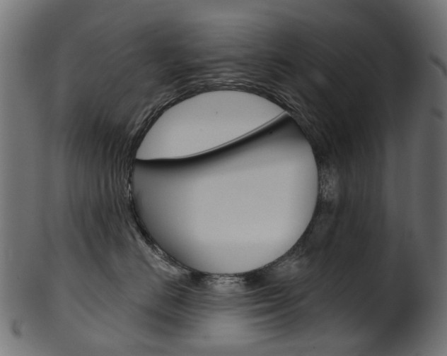 X0000102040670200807181031