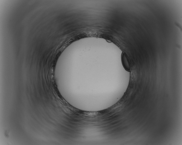 X0000102040671200807181031