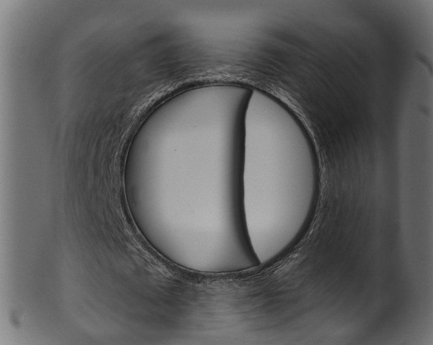X0000102040673200807181030