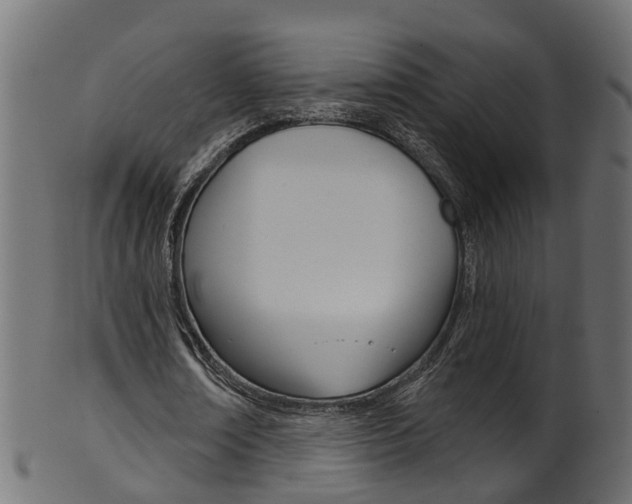 X0000102040674200807181030