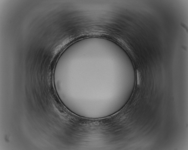 X0000102040675200807181030