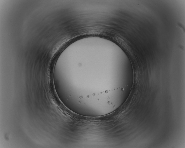 X0000102040676200807181030
