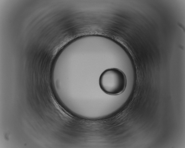X0000102040677200807181030