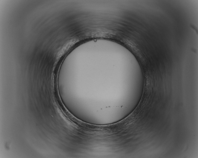 X0000102040678200807181030