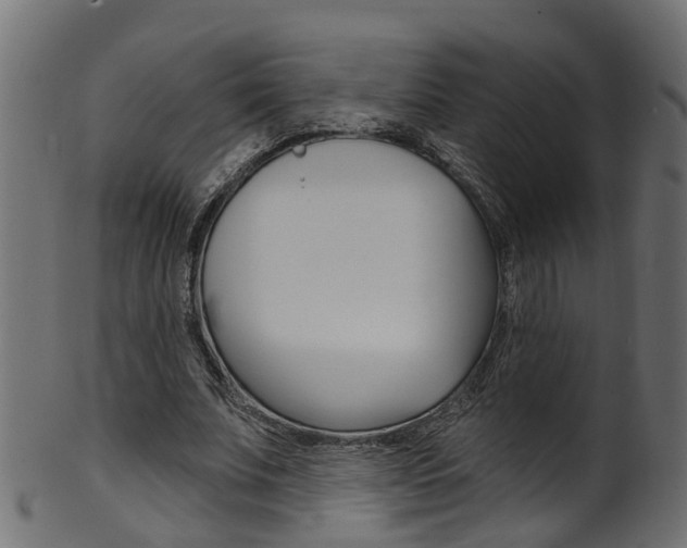 X0000102040679200807181030