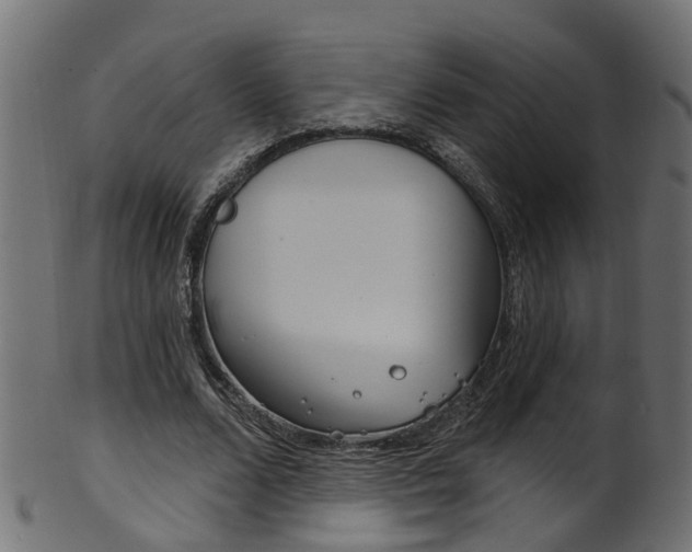 X0000102040680200807181030
