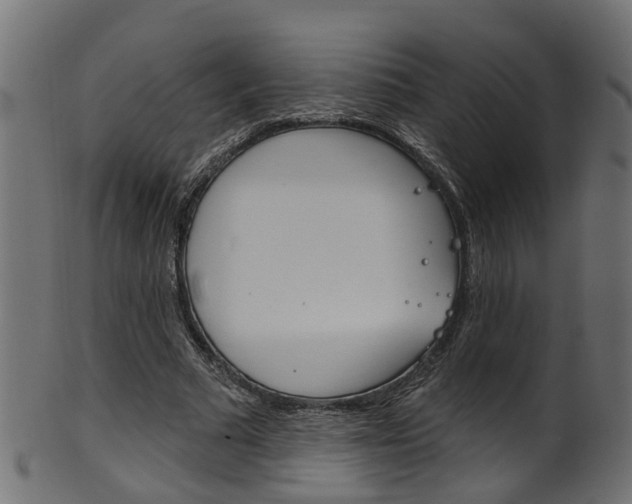 X0000102040681200807181030