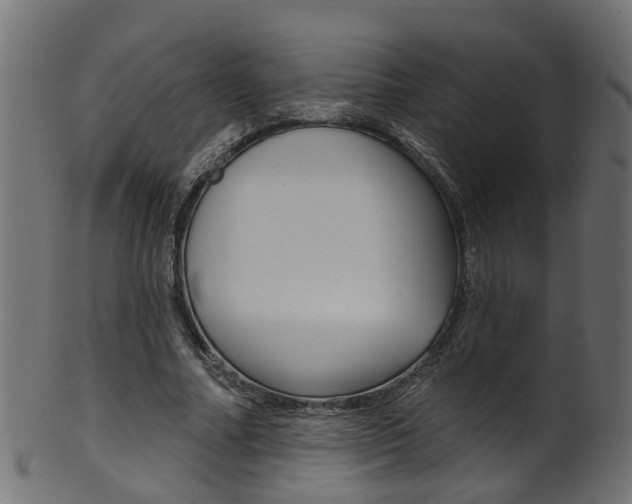 X0000102040682200807181030
