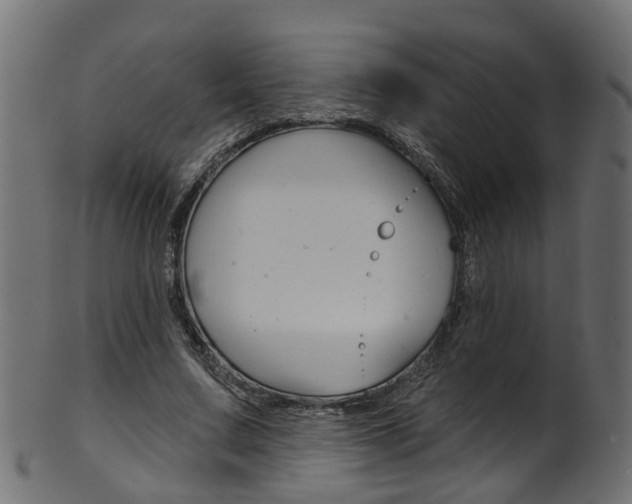 X0000102040683200807181030