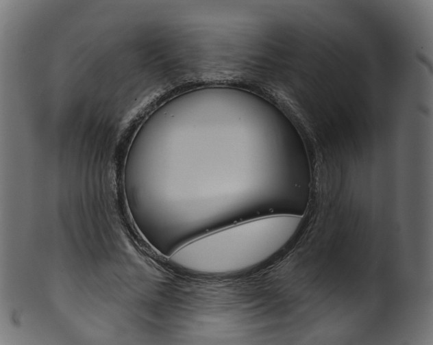 X0000102040684200807181030