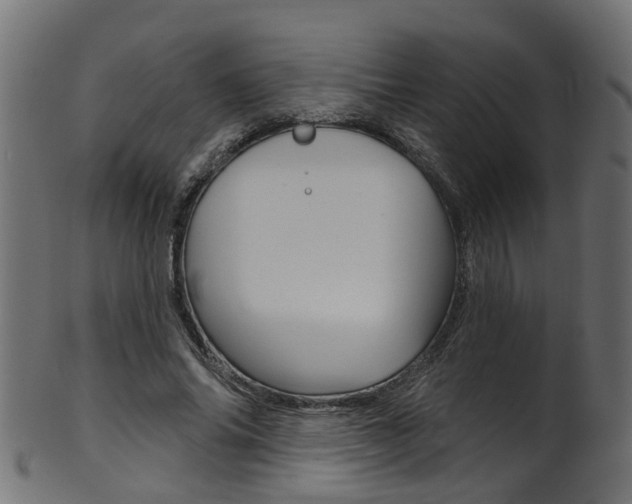X0000102040686200807181030