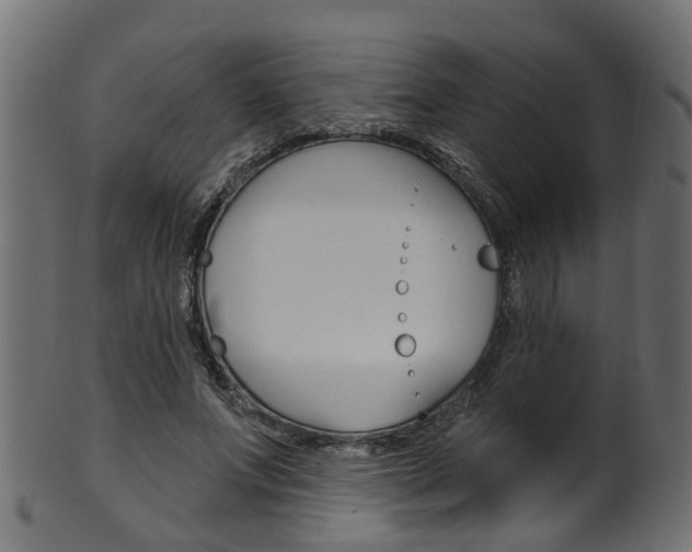 X0000102040687200807181030