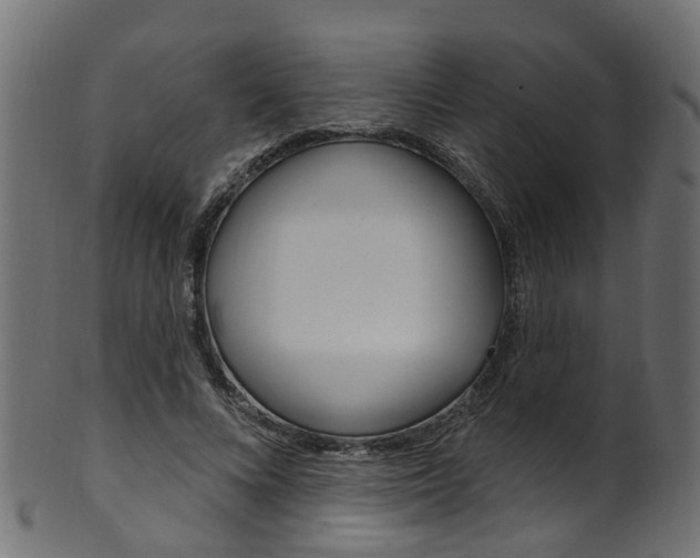 X0000102040688200807181030