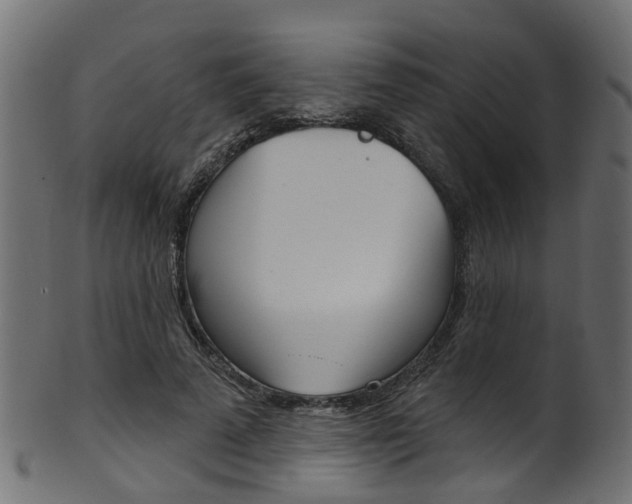 X0000102040689200807181030