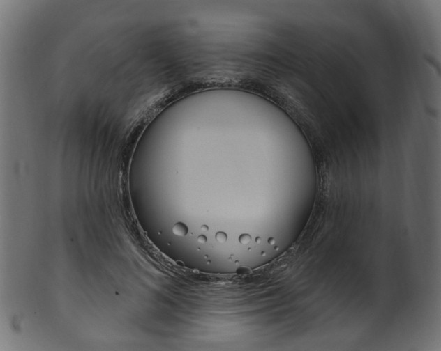 X0000102040692200807181030