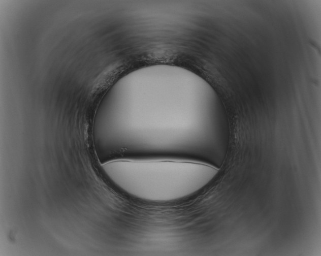 X0000102040693200807181030