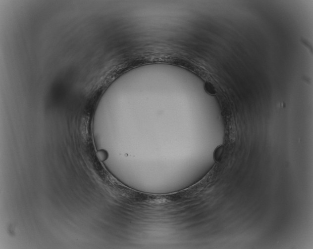 X0000102040695200807181030