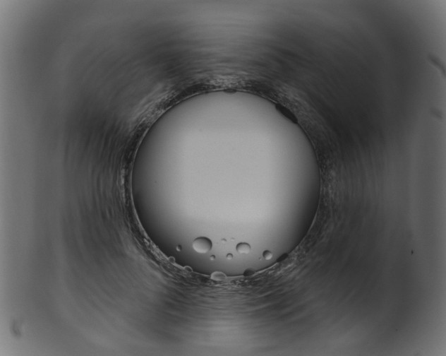 X0000102040696200807181030