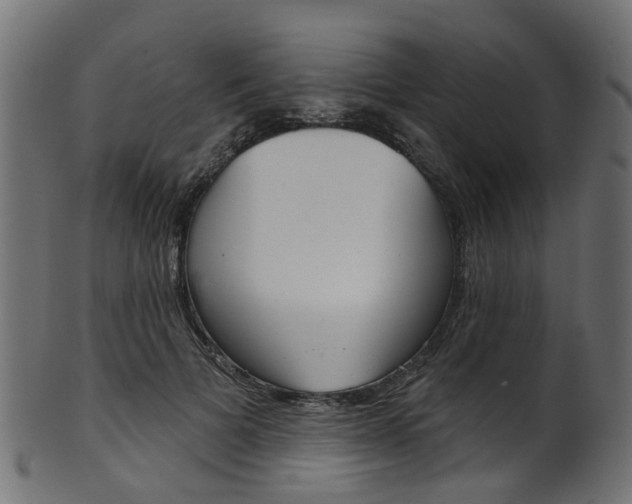 X0000102040697200807181030