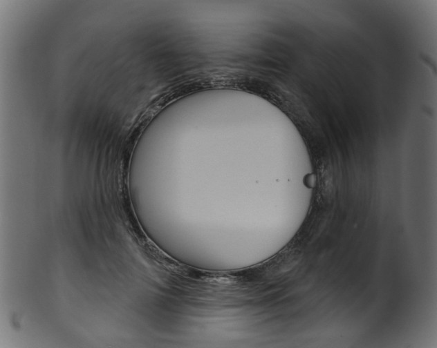 X0000102040698200807181030