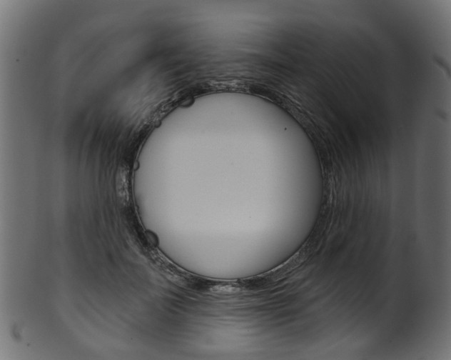 X0000102040699200807181030