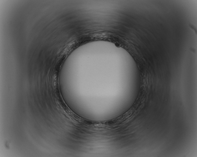 X0000102040708200807181030