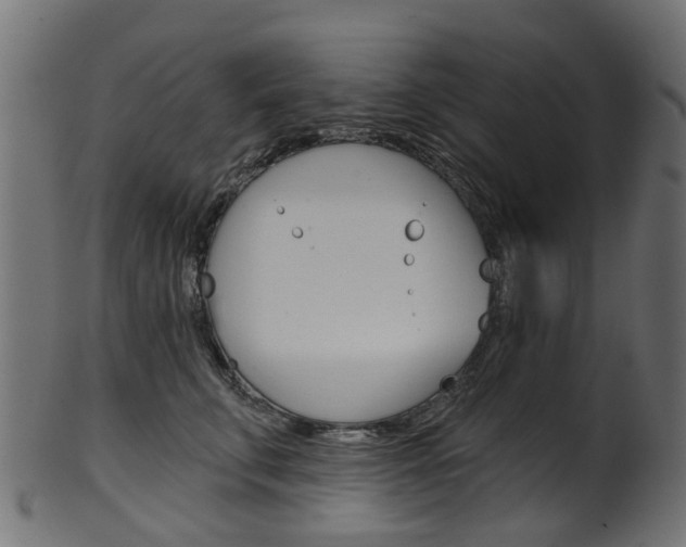 X0000102040711200807181030