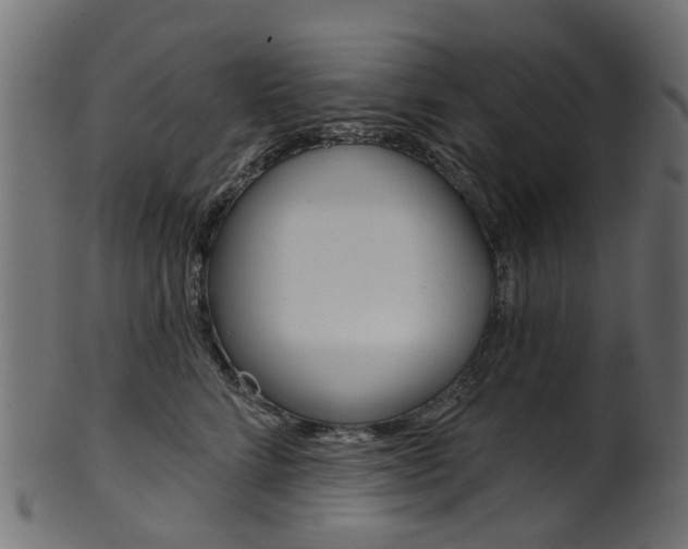 X0000102040712200807181030
