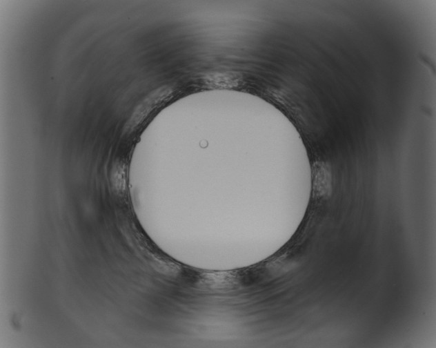 X0000102040713200807181030