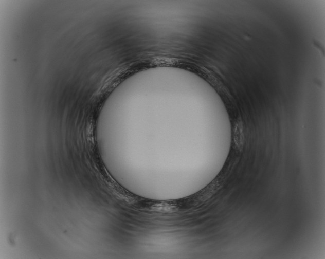 X0000102040714200807181030
