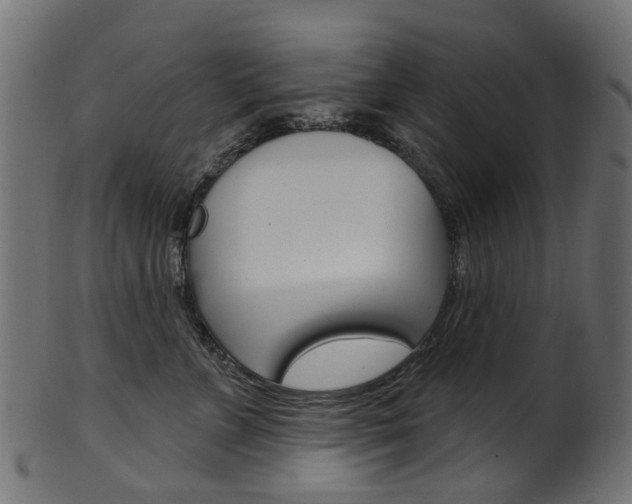 X0000102040715200807181030