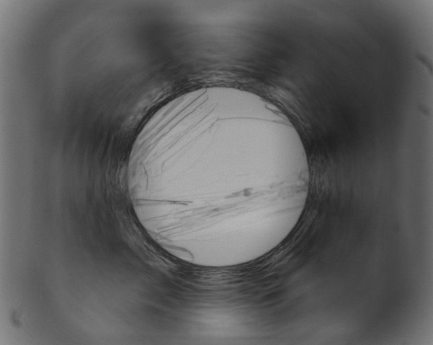 X0000102040717200807181030